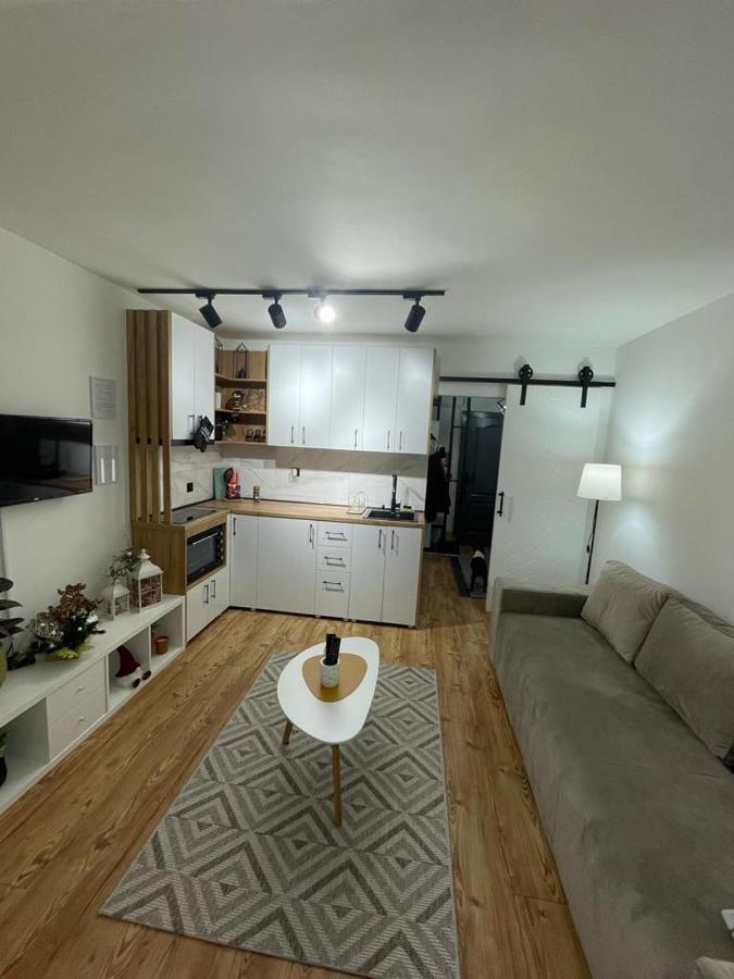 Element Apartment Krusevac