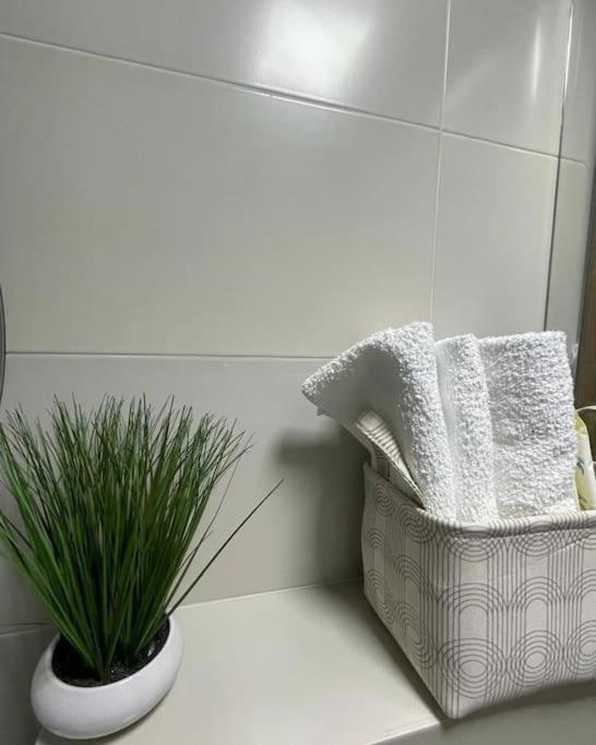 Element Apartment Krusevac