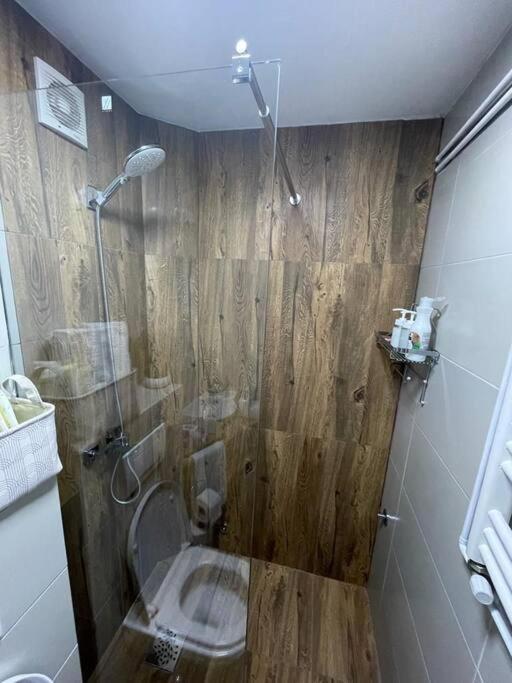 Element Apartment Krusevac